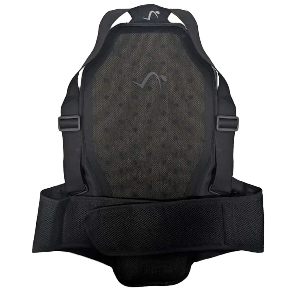 B-50 BACKPACK BACK - LEVEL 2