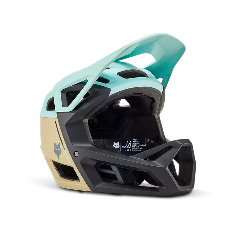 Proframe Helm