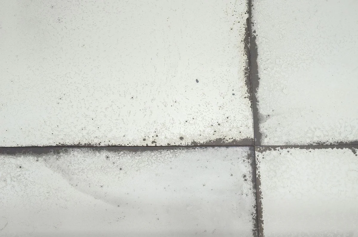 You are purchasing a Casa Padrino brand product.