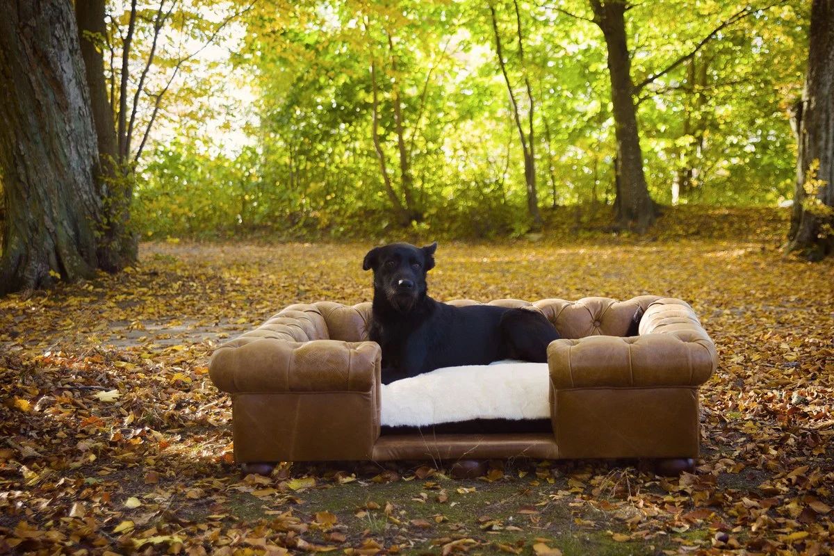Luxury Chesterfield leather dog bed vintage brown / dark brown / white / black 134 x 104 x H. 37 cm - Rectangular genuine leather dog bed - Luxury Chesterfield leather pet furniture