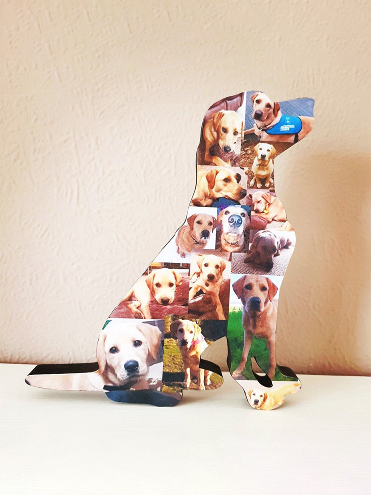 Personalized Pet Photo Collage Frame For Home Decoration-$30.00-Photo to 3d art